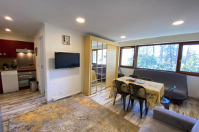06BF - 7-person apartment facing the slopes Valberg